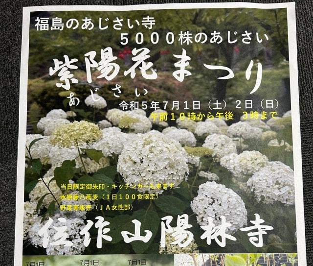 陽林寺紫陽花まつり