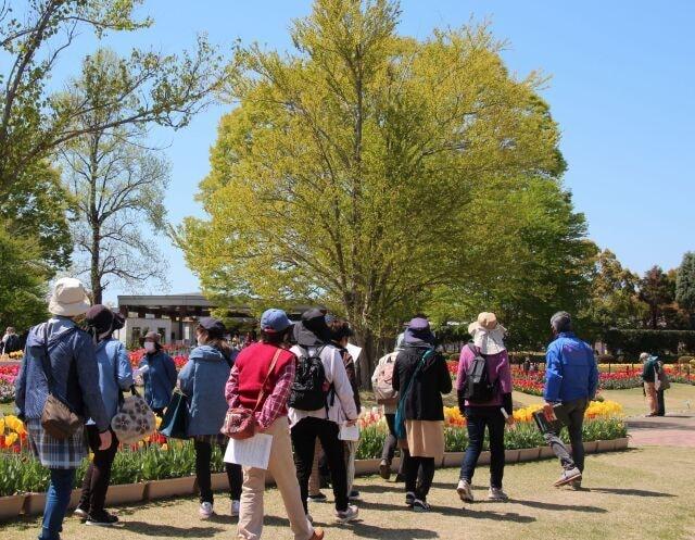 園内ガイドツアー（6月）