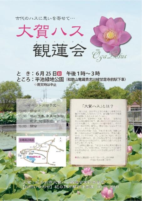 ベトナムハス・大賀ハス観蓮会