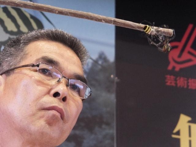 姶良市加治木町くも合戦大会