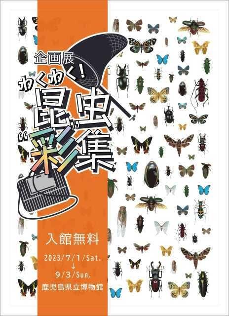 企画展「わくわく！昆虫”彩”集」
