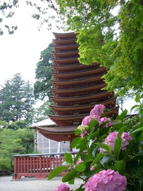 【あじさい・見ごろ】談山神社＜中止となりました＞