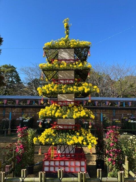 第18回　古河菊まつり