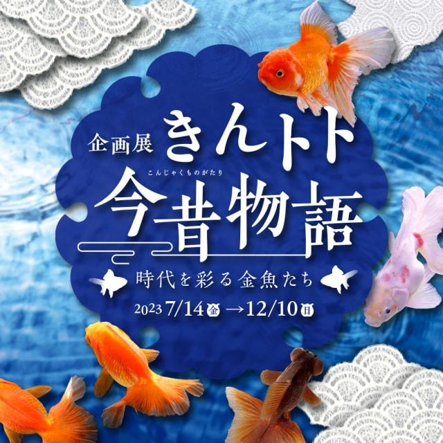 企画展　きんトト今昔物語 ー時代を彩る金魚たちー