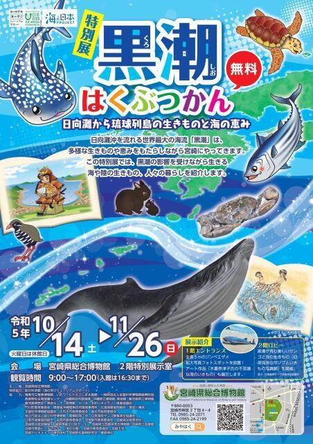 黒潮はくぶつかん　～日向灘から琉球列島の生きものと海の恵み～