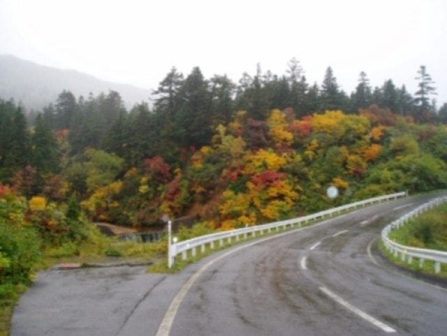 【紅葉・見ごろ】八幡平樹海ライン