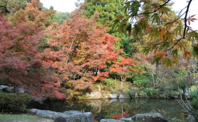 【紅葉・見ごろ】木戸公園