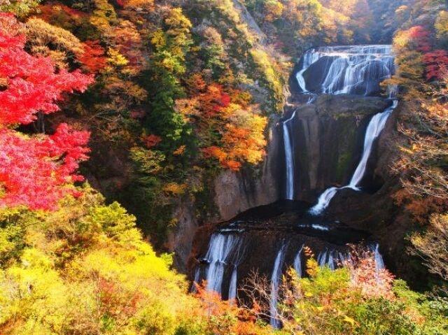 【紅葉・見ごろ】袋田の滝（茨城県）の観光イベント情報｜ゆこゆこ