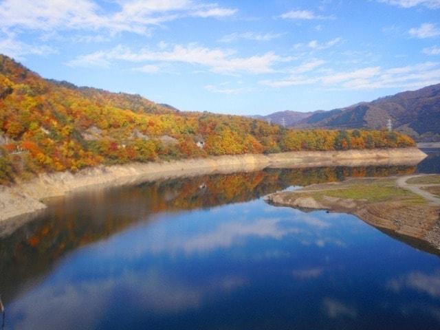【紅葉・見ごろ】御母衣ダム