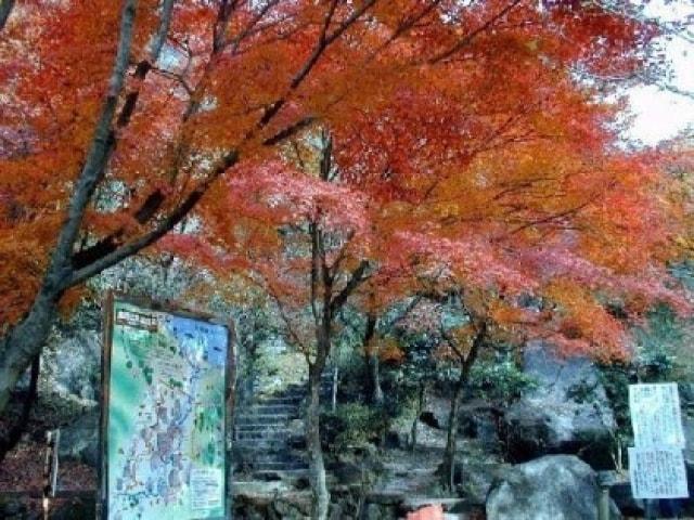 【紅葉・見ごろ】鬼岩公園