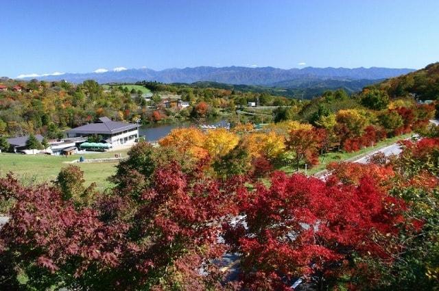 2023秋の茶臼山高原まつり
