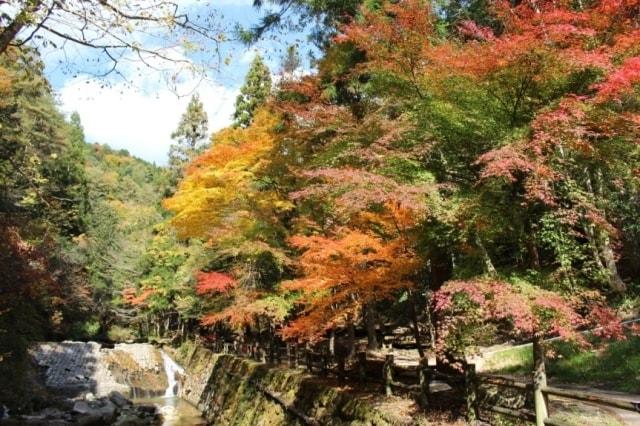 【紅葉・見ごろ】寂地峡