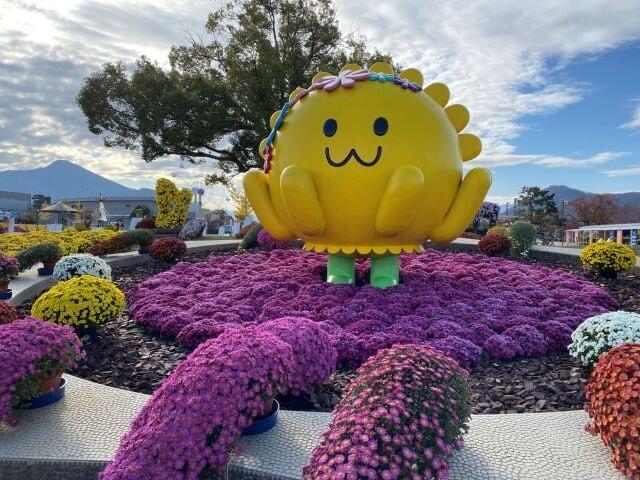 第72回2023たけふ菊人形