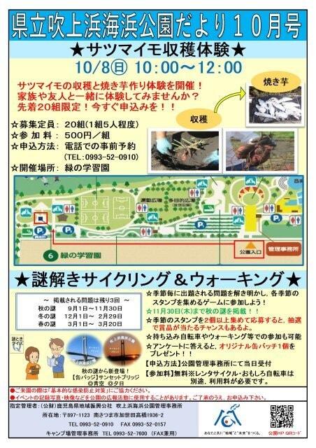 サツマイモ収穫体験