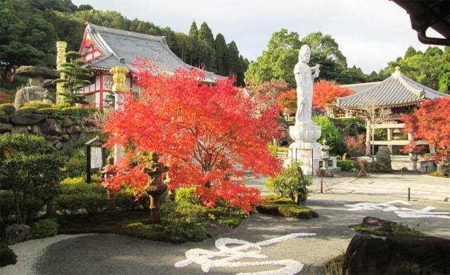 【紅葉・見ごろ】不動山青隆寺