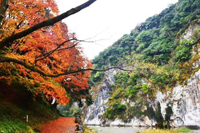 【紅葉・見ごろ】立神峡