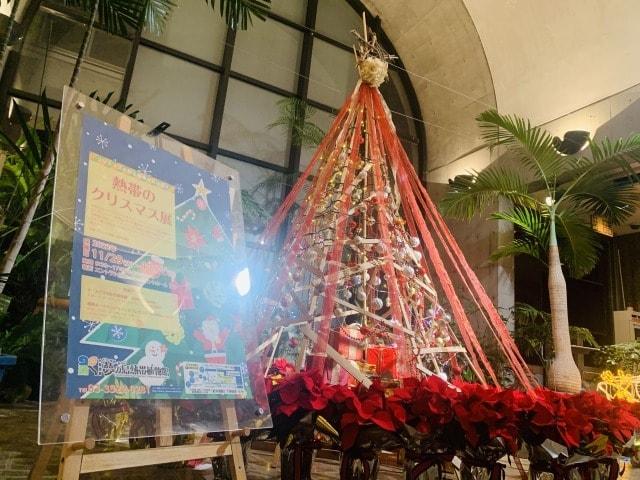 夢熱のクリスマス展
