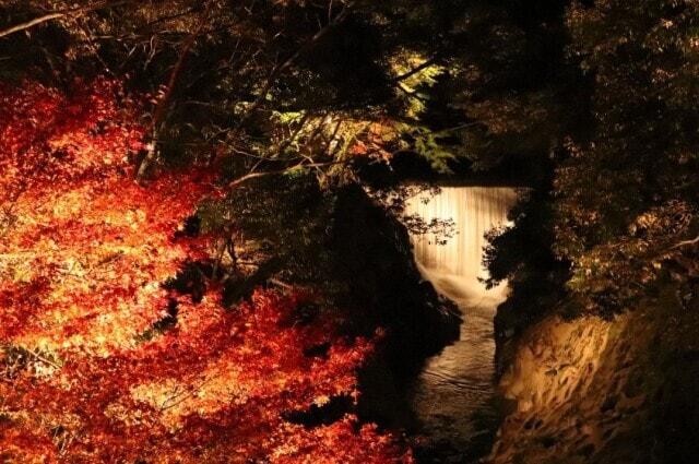 長田峡ライトアップ