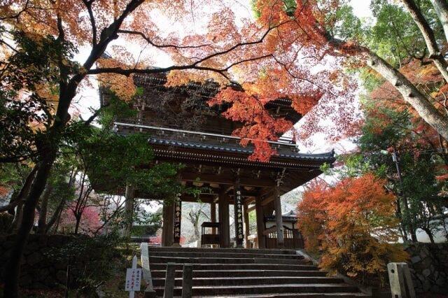 【紅葉・見ごろ】功山寺