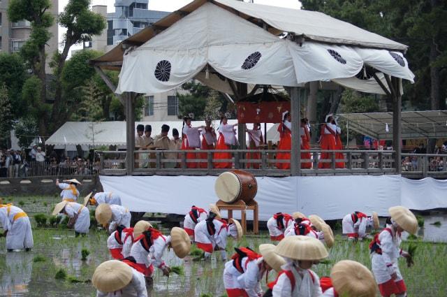 住吉大社 御田植神事