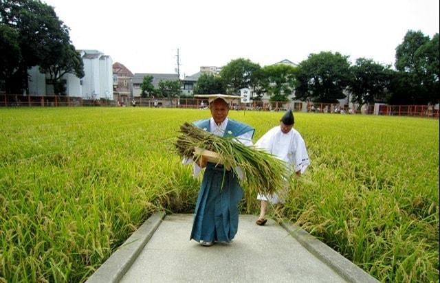 住吉大社 宝之市神事・升の市