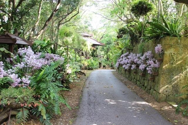 ビオスの丘うりずんの花祭り