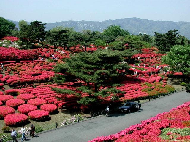 小室山公園つつじ観賞会