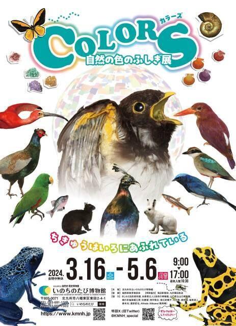 春の特別展「カラーズ　～自然の色のふしぎ展～」