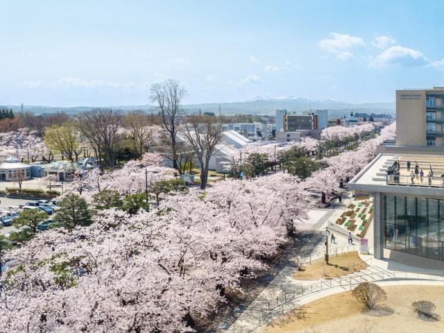 十和田市春まつり