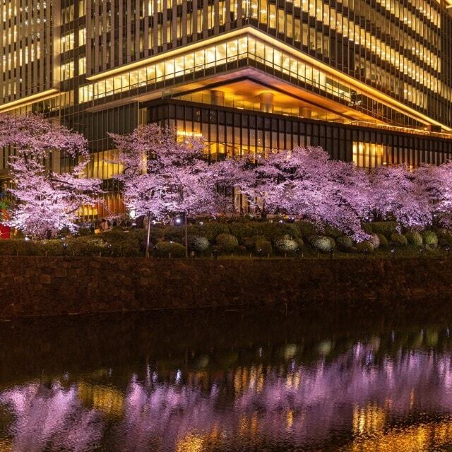 KIOI SPRING 2024「紀尾井・花の駅」