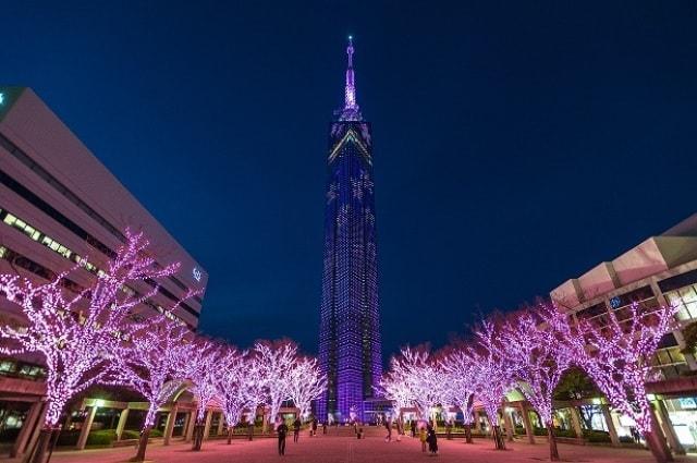 福岡タワー35周年感謝祭「桜まつり」