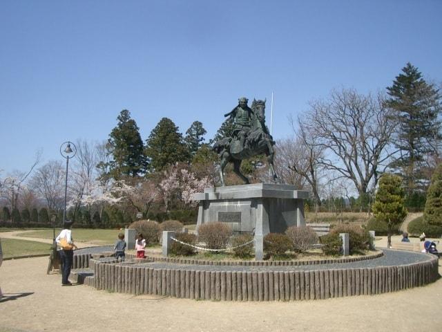 【桜・見ごろ】高山市　城山公園