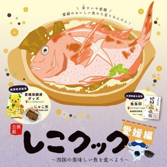 しこクック～四国の美味しい魚を食べよう愛媛県編～