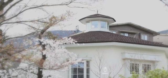 【桜・見ごろ】箱根強羅公園