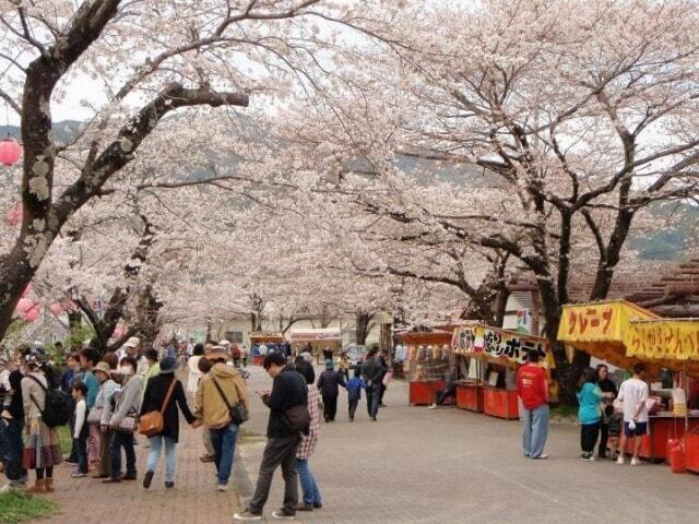 かわね桜まつり