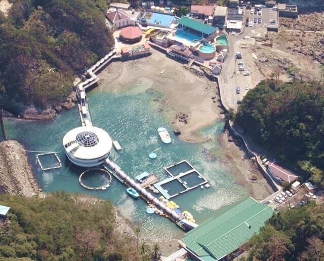 おかげさまで下田海中水族館は57周年