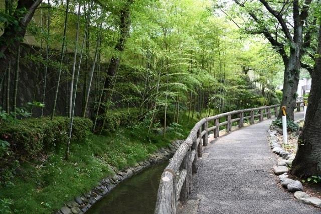 せせらぎウォーク「六郷用水を学ぶ」