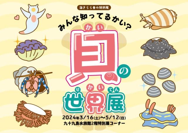 九十九島水族館海きらら春の特別展　みんな知ってるかい？貝の世界展