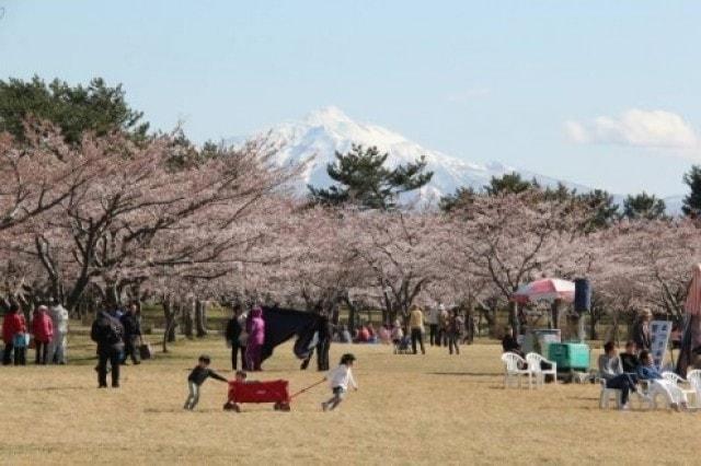 令和6年 つがる市春まつり