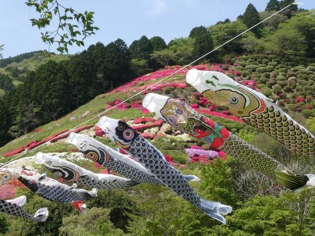 姫の沢公園 花まつり「つつじ・こいのぼりまつり」