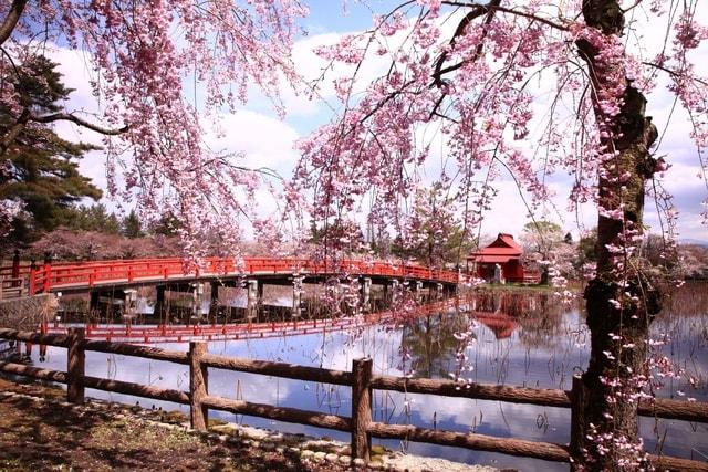 平川さくらまつり