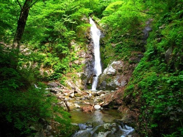 摩耶山　春の登山会