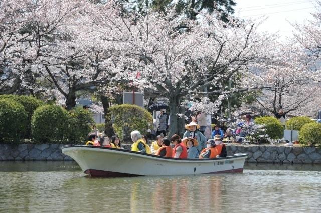 九華公園　さくらまつり