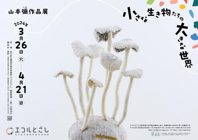 山本彌作品展「小さな生き物たちの大きな世界」