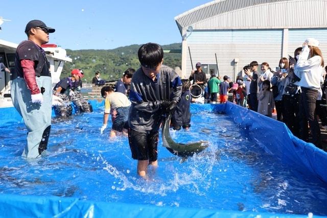 垂水カンパチ祭