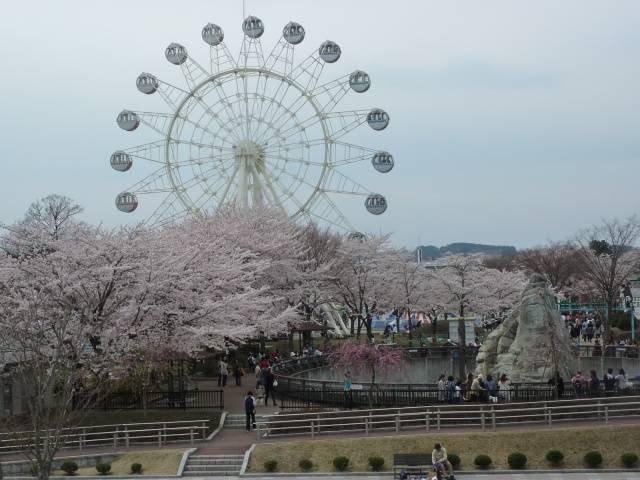 はちのへ公園春まつり