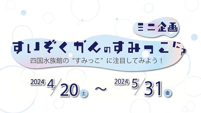 ミニ企画「すいぞくかんのすみっこに？」