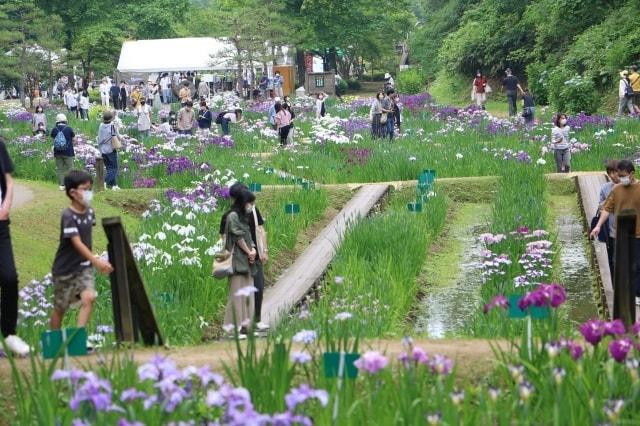 頼成の森花しょうぶ祭り