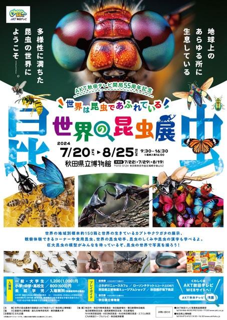 特別展「世界の昆虫展」