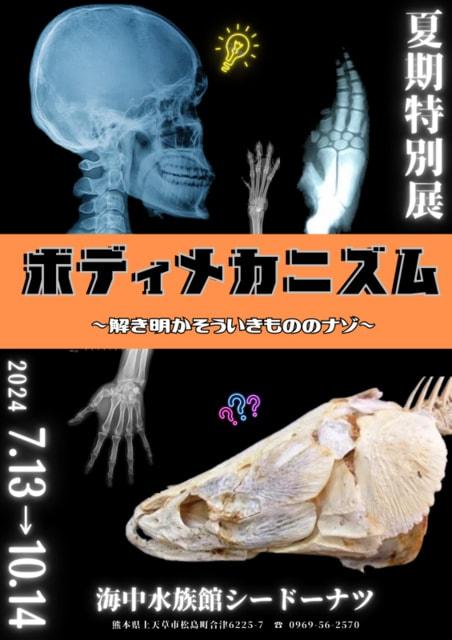 ボディメカニズム　～解き明かそういきもののナゾ～